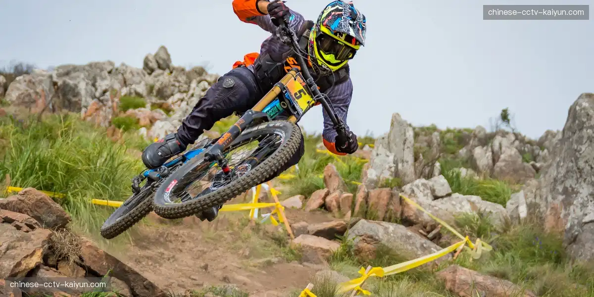 🏟️ 主场气势如虹，激情风暴瞬间席卷，热血共振全场！🌪️